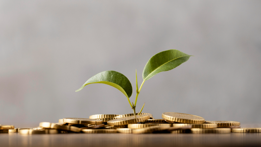 Tax-Optimized Investing
